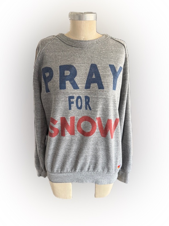 Aviator Nation Tops - Aviator Nation Pray For Snow Relaxed Crewneck Sweatshirt. Charcoal Gray. Medium
